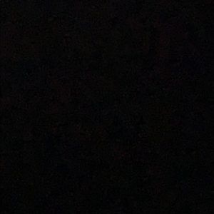 Meet your Posher, Paula